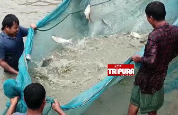 Govt focusses on Fish Farming and Plantation for Livelihood generation Govt focusses on Fish Farming and Plantation for Livelihood generation